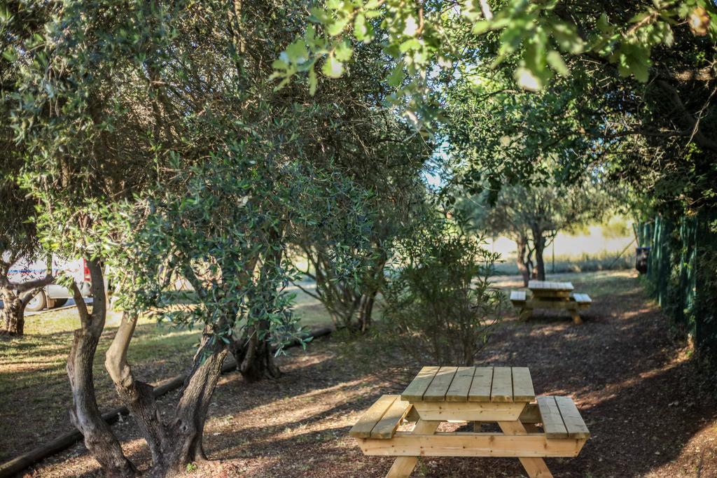 Ibis Budget Le Cannet Des Maures Le Cannet-des-Maures Kültér fotó